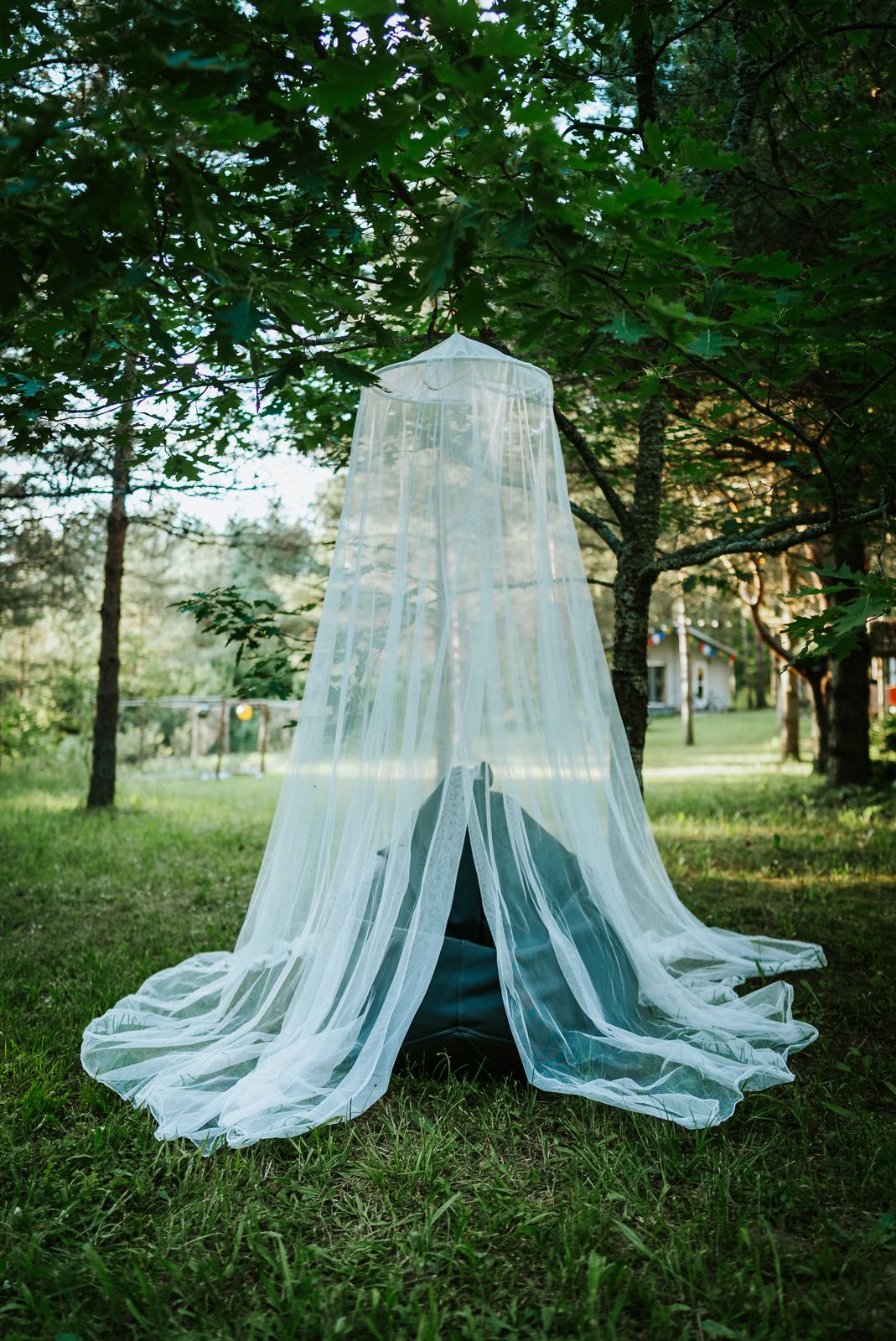 A sheer sleeping canopy hung under oak trees